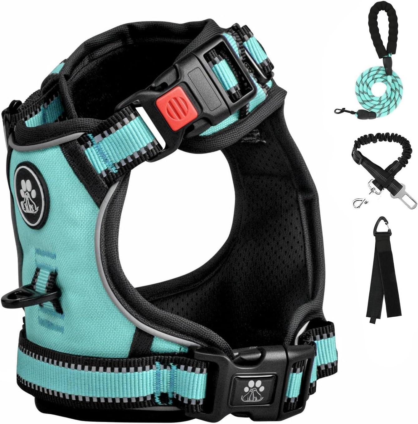 Dog Seat Belts: Tested Safety & Convenience for Car Travel