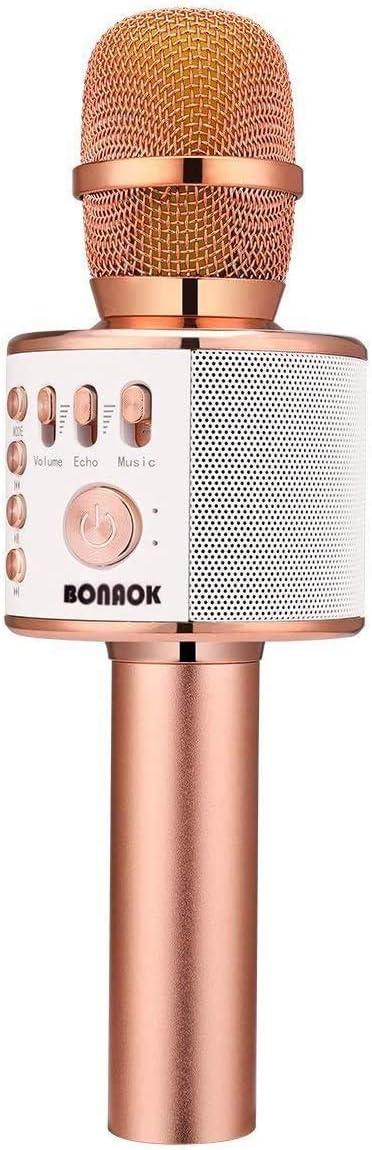 Karaoke Systems Showdown: 24-Hour Battery Tested for All-Night Fun