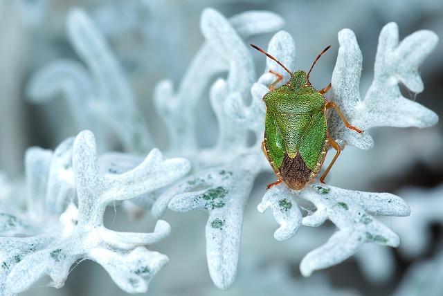 Not all home bug sprays work. The best ones kill bugs instantly and are safe for kids too