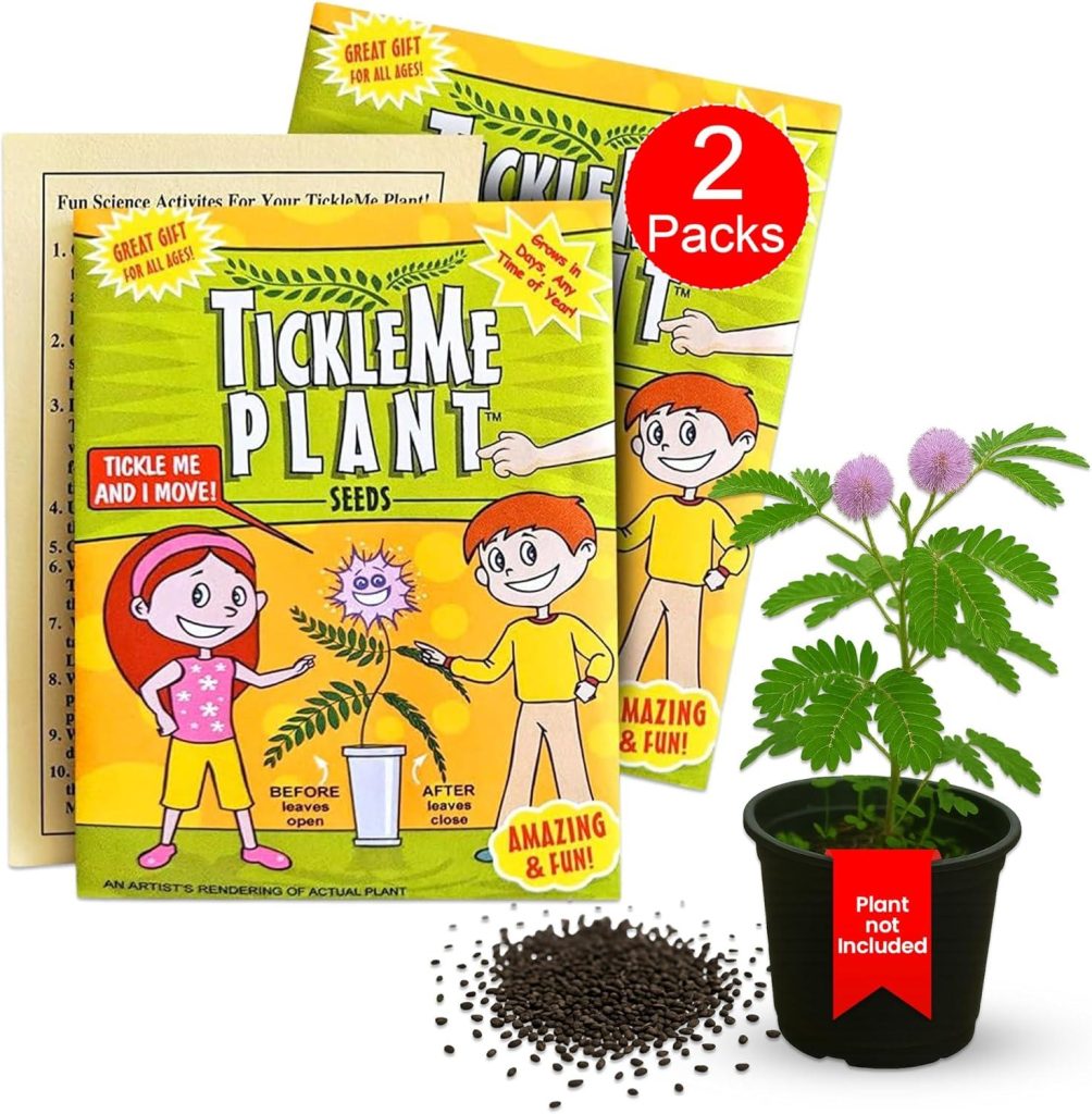 Best TickleMe Plant Seeds for Touch-Sensitive Indoor Plant Fun 2-Pack