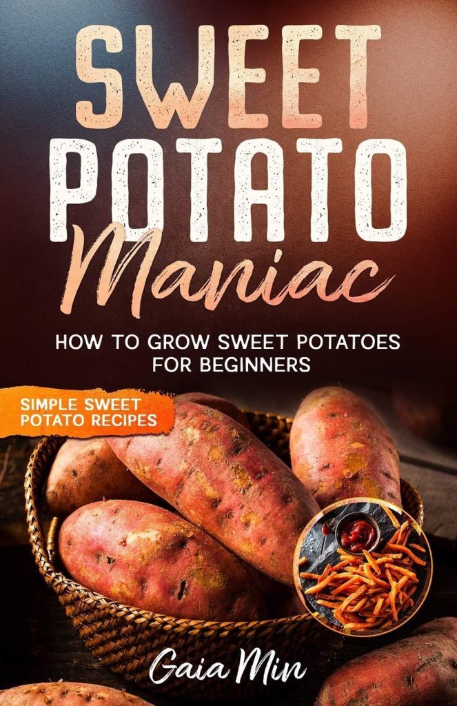 Best Gardening Guide – Sweet Potato Maniac: How To Grow Sweet Potatoes For Beginners w/ Simple Sweet Potato Recipes Review