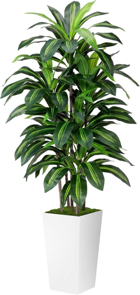 Best Indoor Plant – Artificial Dracaena Plant Indoor 5FT Review