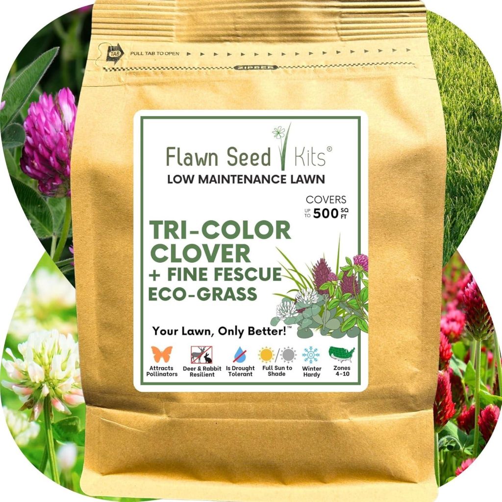 Best Flowering Lawn Seed – Flawn Seed Kits Tri-Color Clover Review