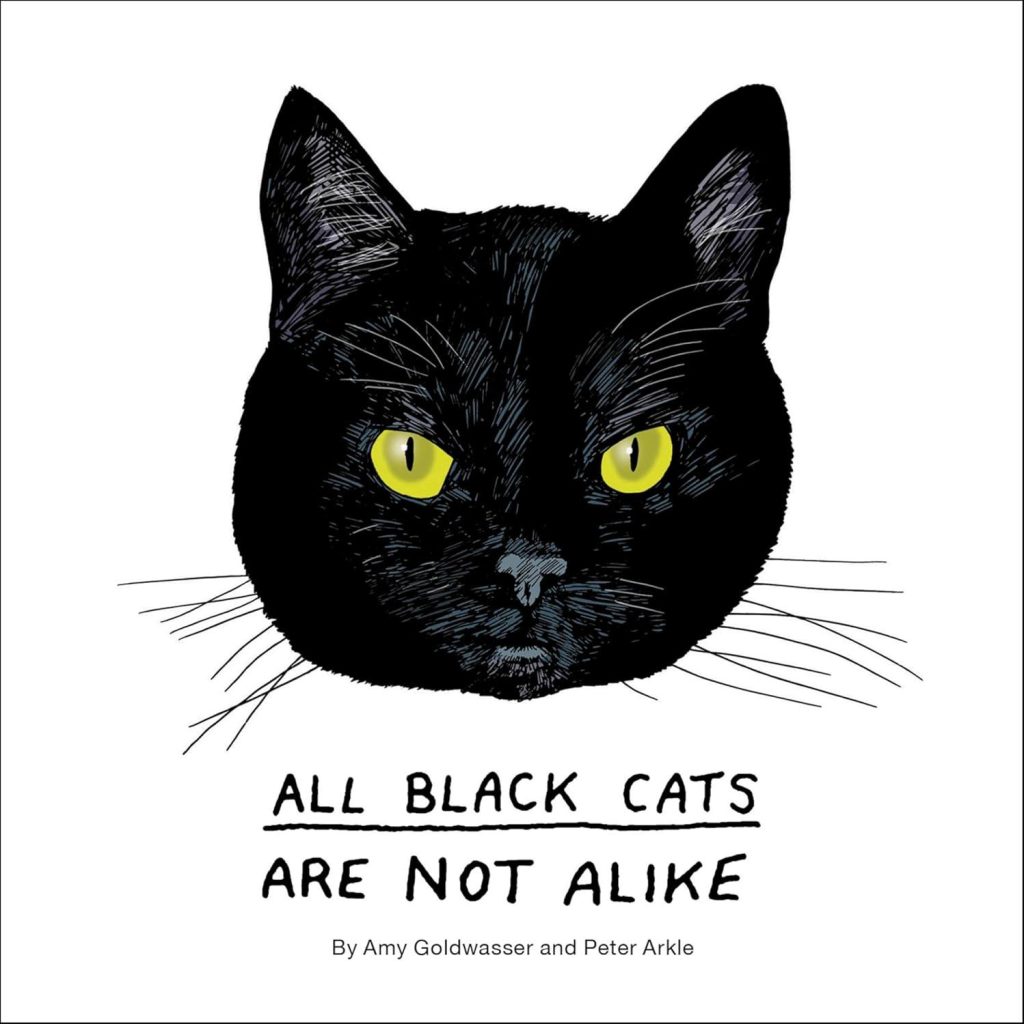Best Pet Book – All Black Cats Are Not Alike Review