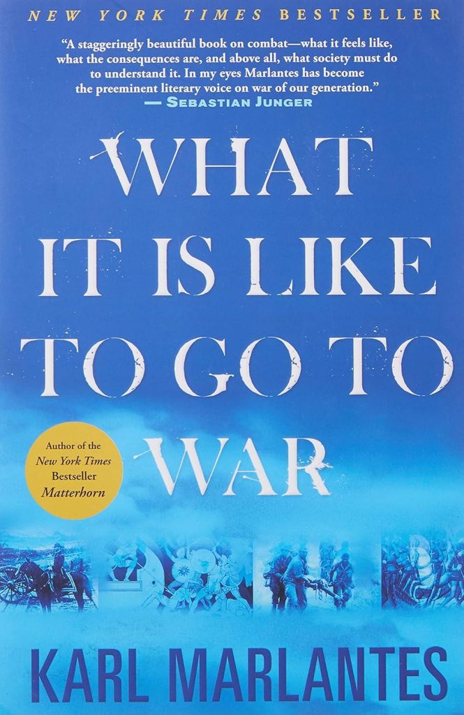 Best Nonfiction Book – What It Is Like To Go To War Review
