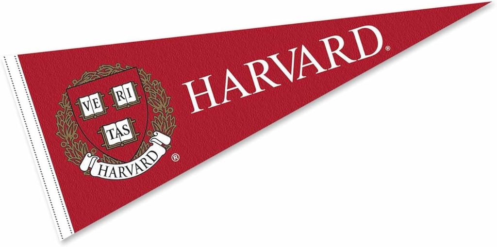 Best Home Décor – Harvard Pennant Full Size Felt Review