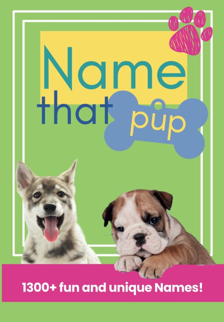 Best Dog Naming Guide – Name that Pup! Creative Dog Names Review