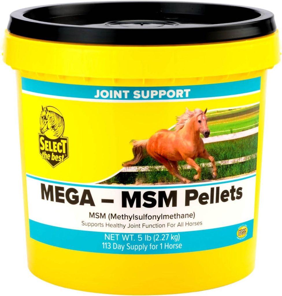 Best Horse Joint Care – Select The Best Mega-MSM Pellets 5 lb Review
