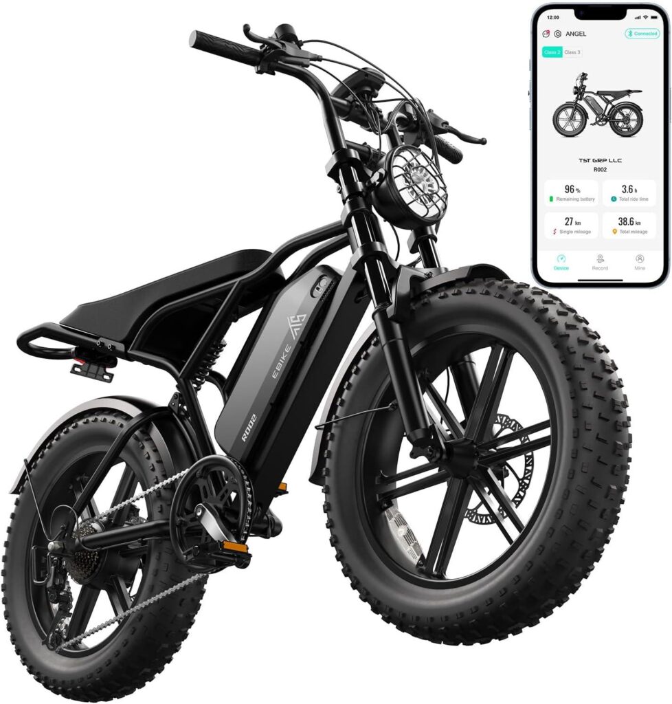 Best Electric Bike – TST 1500W Peak 20″ Fat Tire E-Bike Review