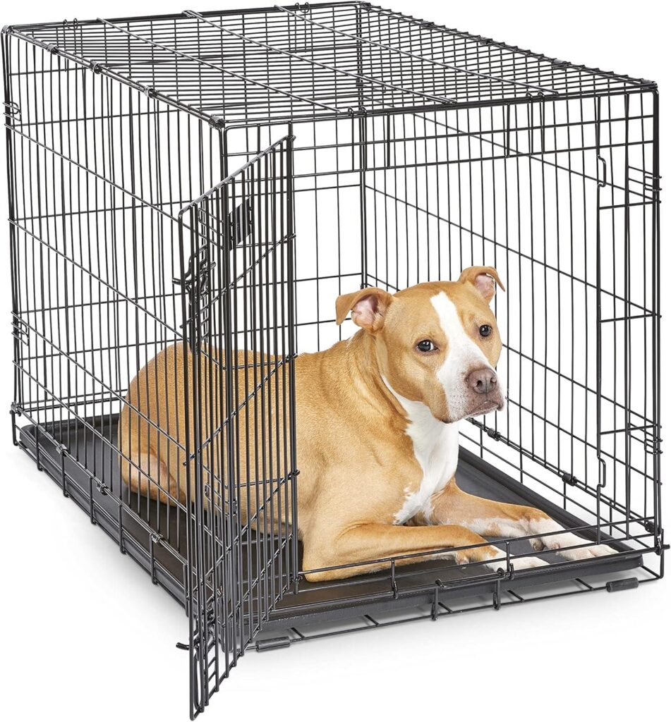 Best Dog Crate – MidWest Homes for Pets 36-Inch iCrate Review