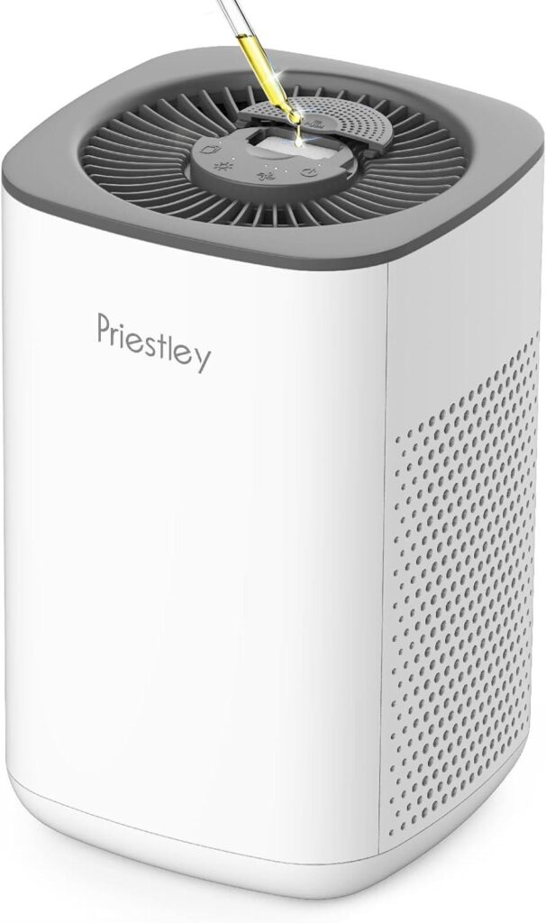 Best Home Air Purifier – Priestley Small Air Purifiers Review