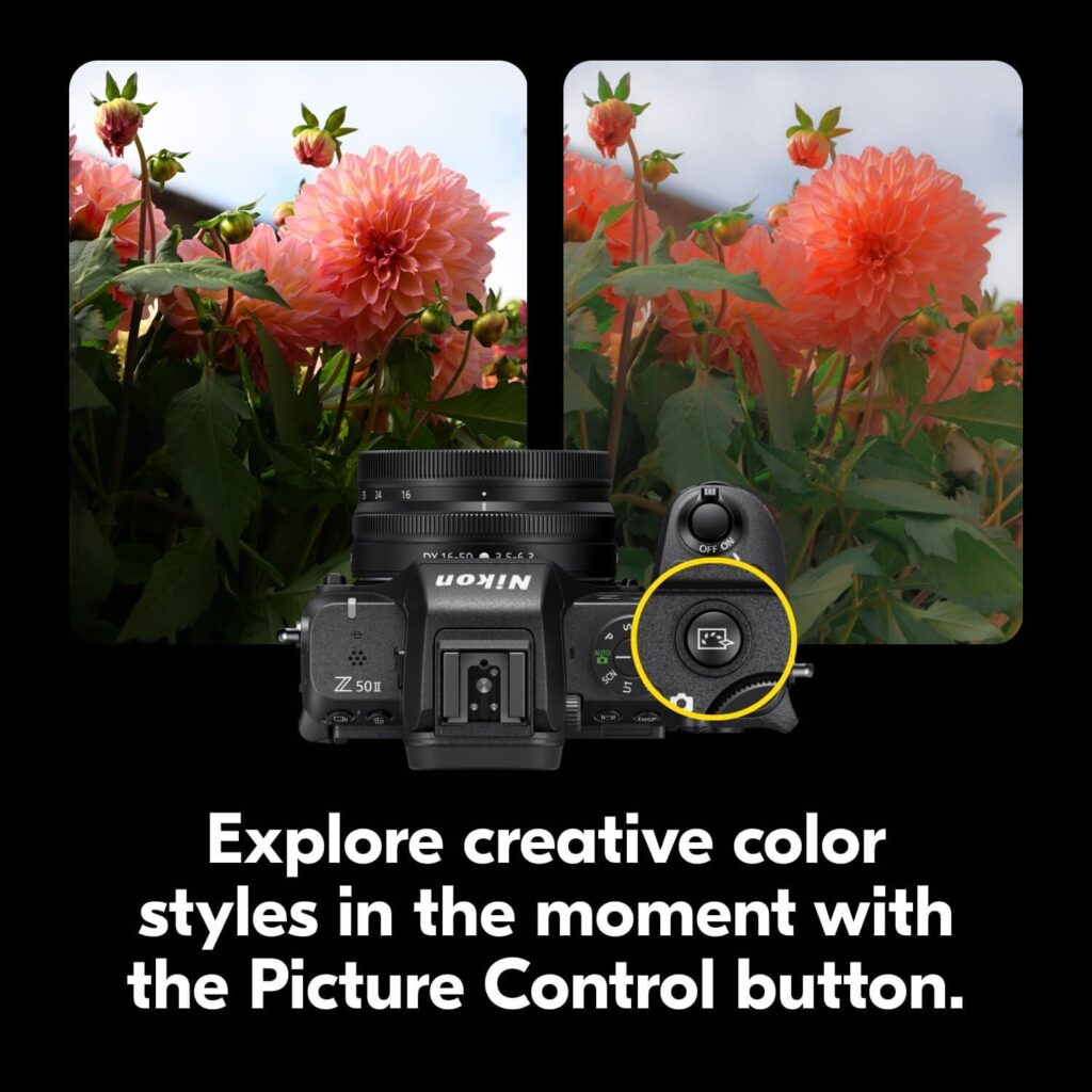 Best Compact Camera – Nikon Z50 II with Two Lenses Review