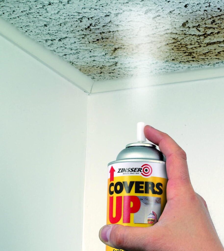 Best Ceiling Paint – Zinnser 03688 Covers Up Stain Review
