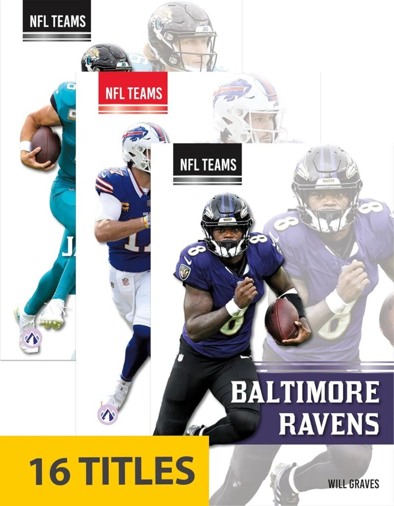 Best Collectible Series – NFL Teams (Set of 16) Review