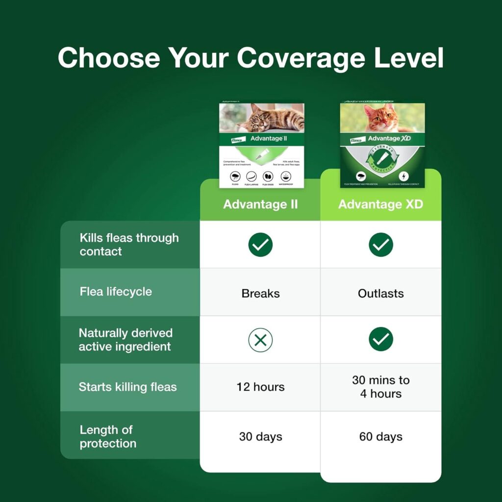 Best Cat Flea Treatment – Advantage II Large Cat Review