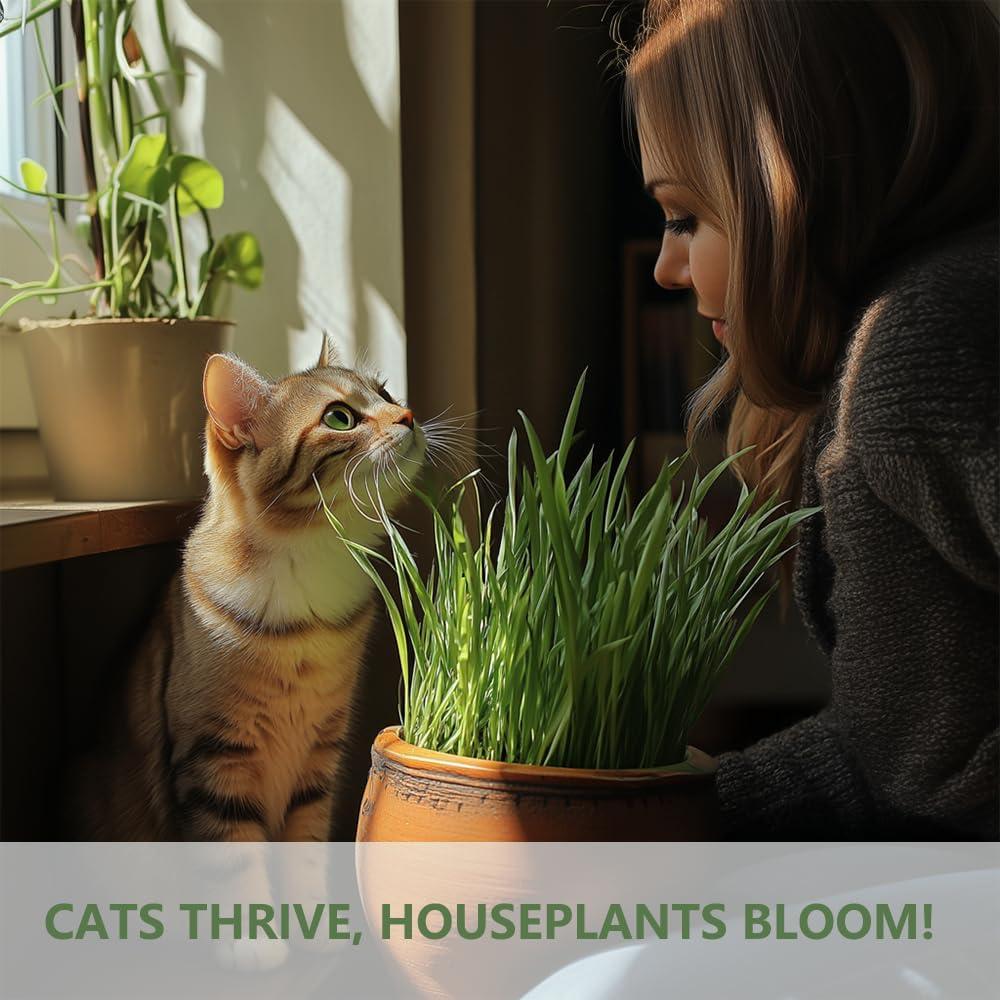 Best Cat Grass Kit – Fast Growing Indoor Cat Grass Review