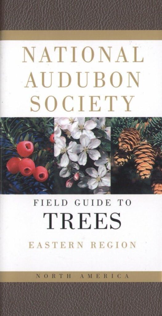 Best Tree Field Guide – Audubon Society Field Guide Review