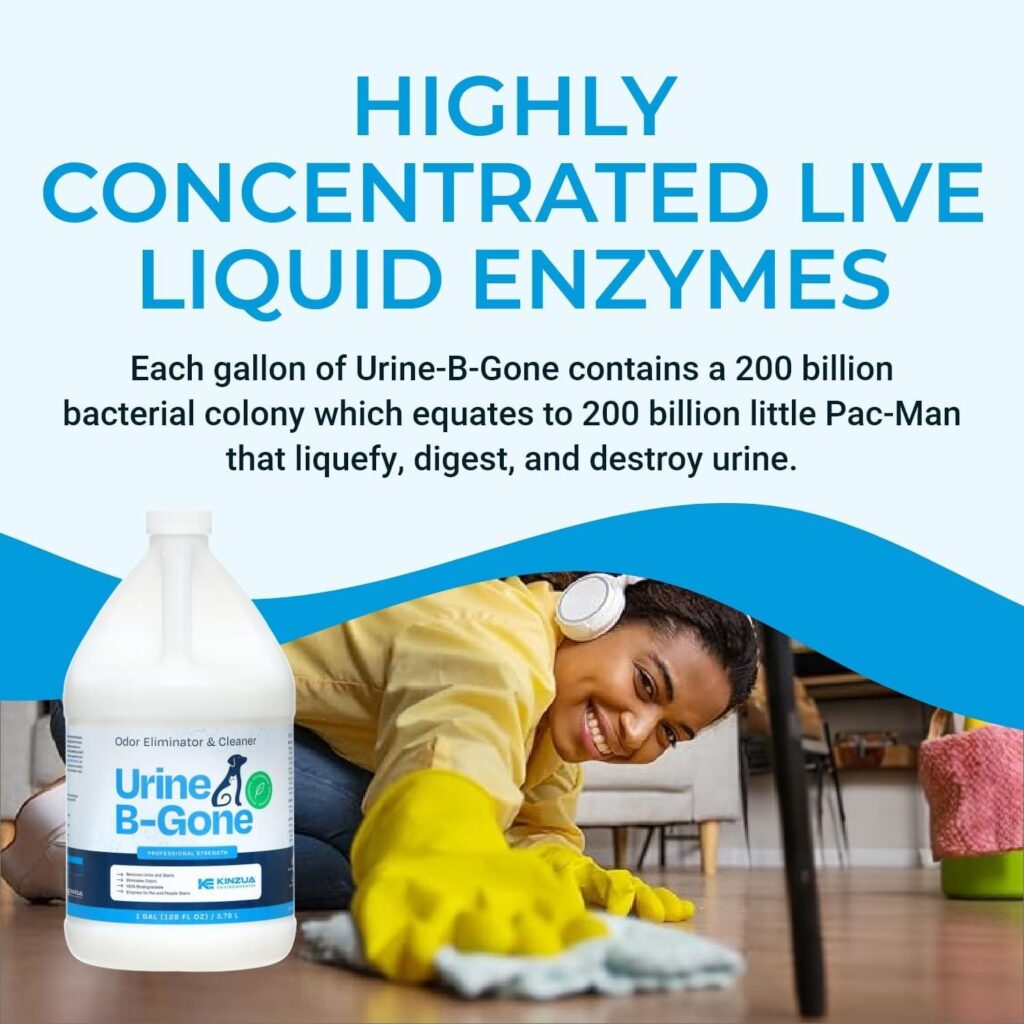 Best Pet Stain Remover – KINZUA ENVIRONMENTAL Urine B-Gone Review