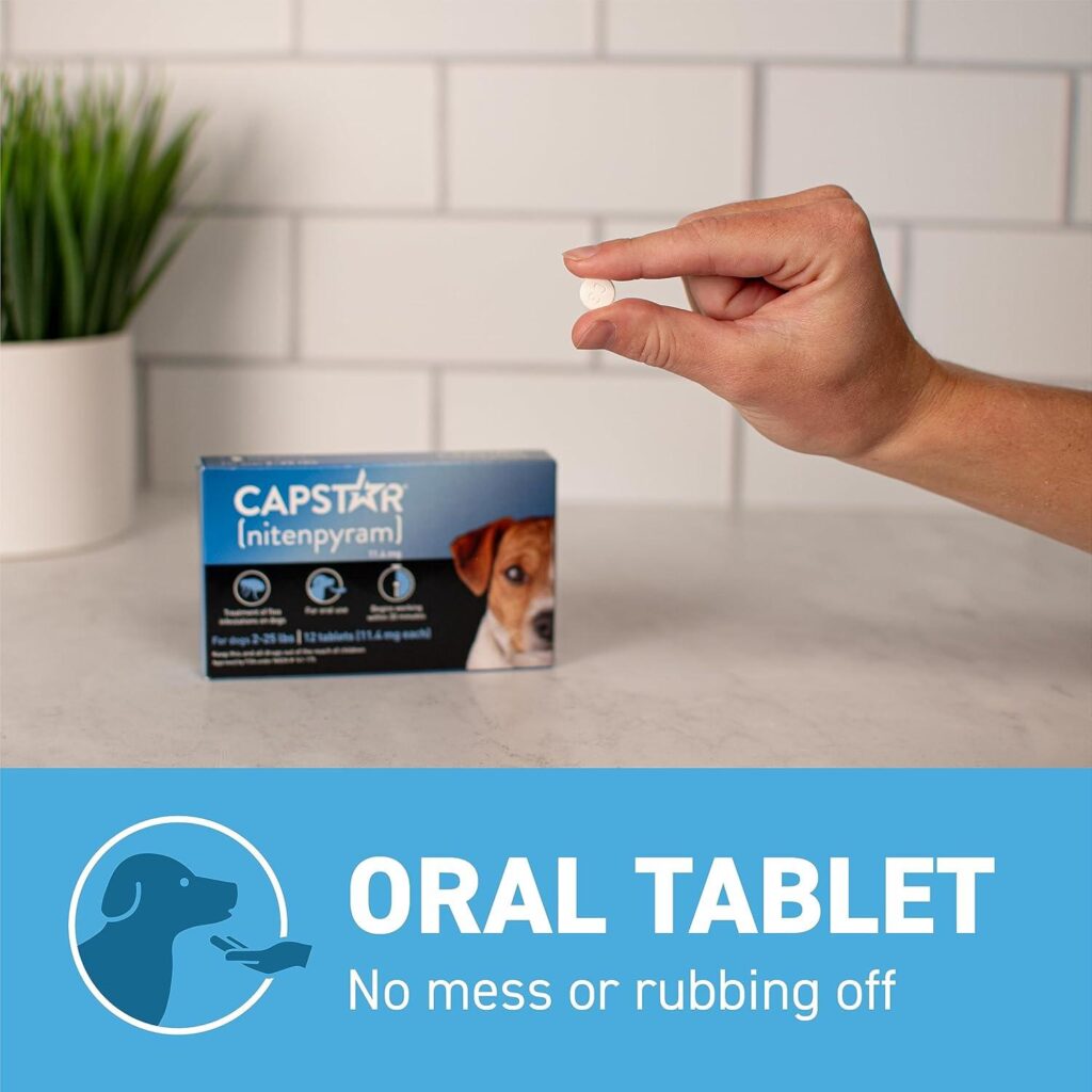 Best Flea Treatment – Capstar Fast-Acting Oral Flea Tablets Review