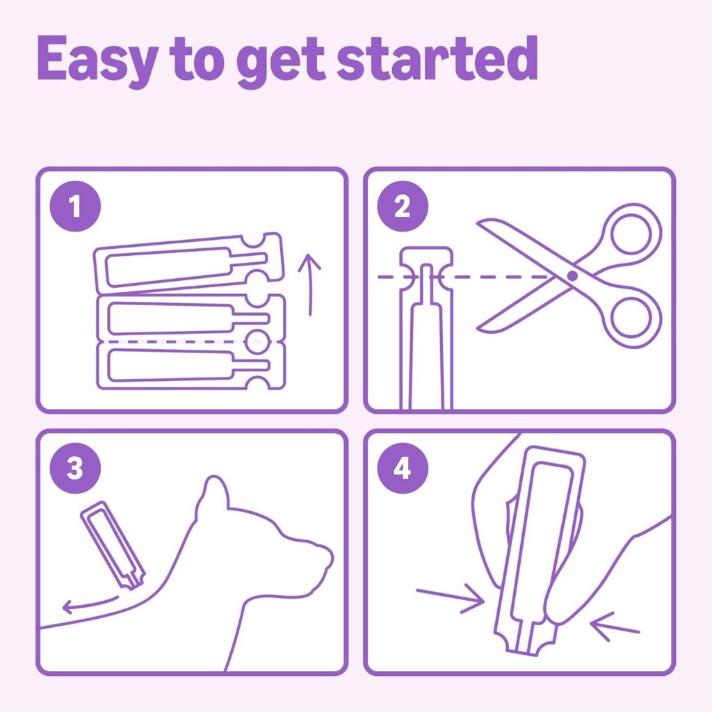 Best Dog Flea and Tick Treatment – Amazon Basics Review