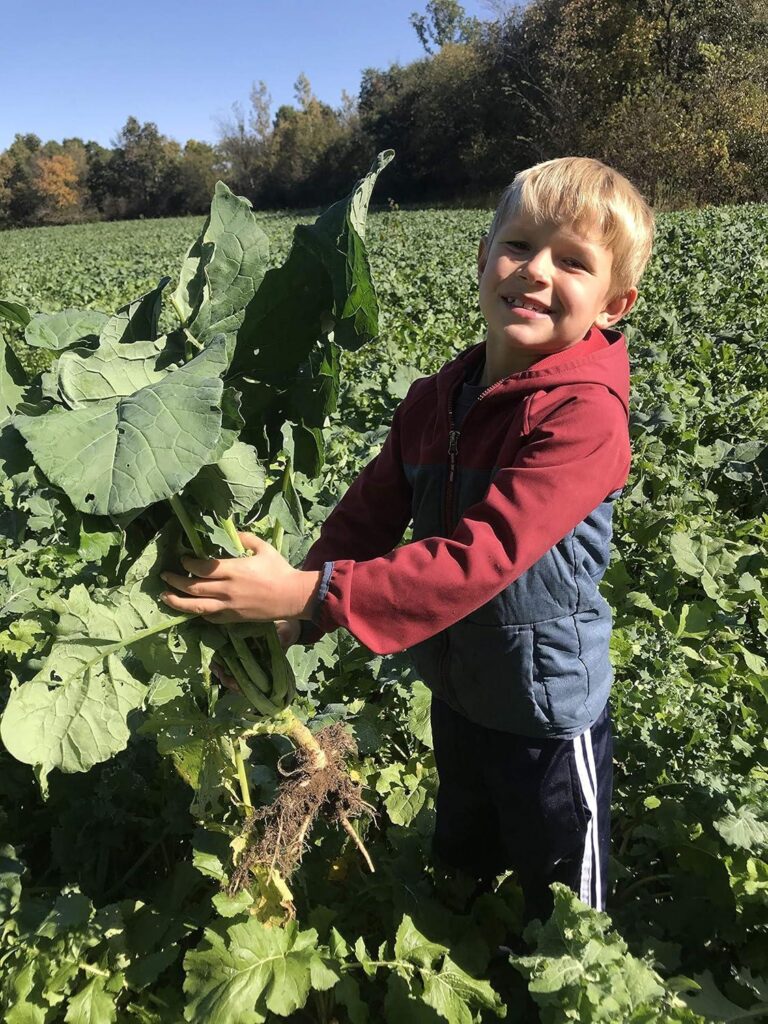 Best Food Plot Seed – Hale Habitat & Seed Sugar Beet Review