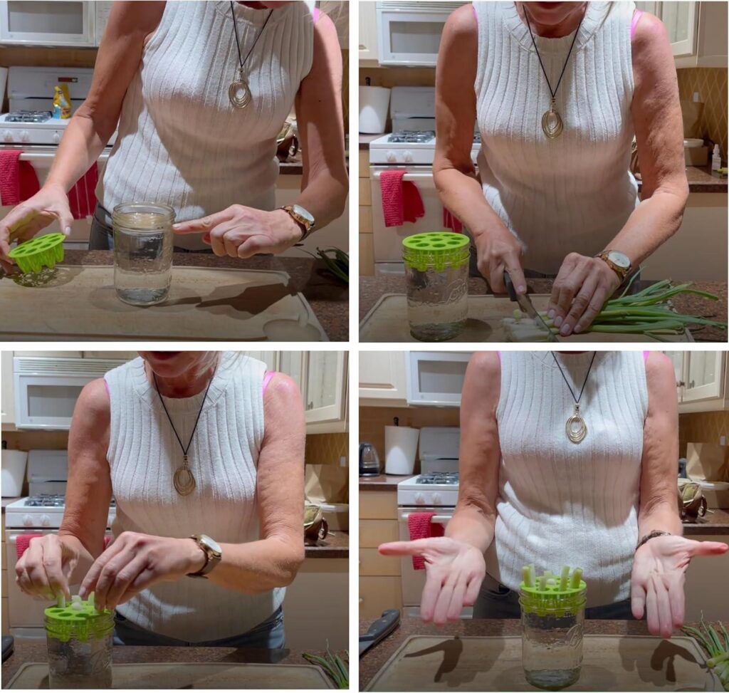 Best Kitchen Gadget – ZESTIGREENS Easiest Green Onion Regrower Review