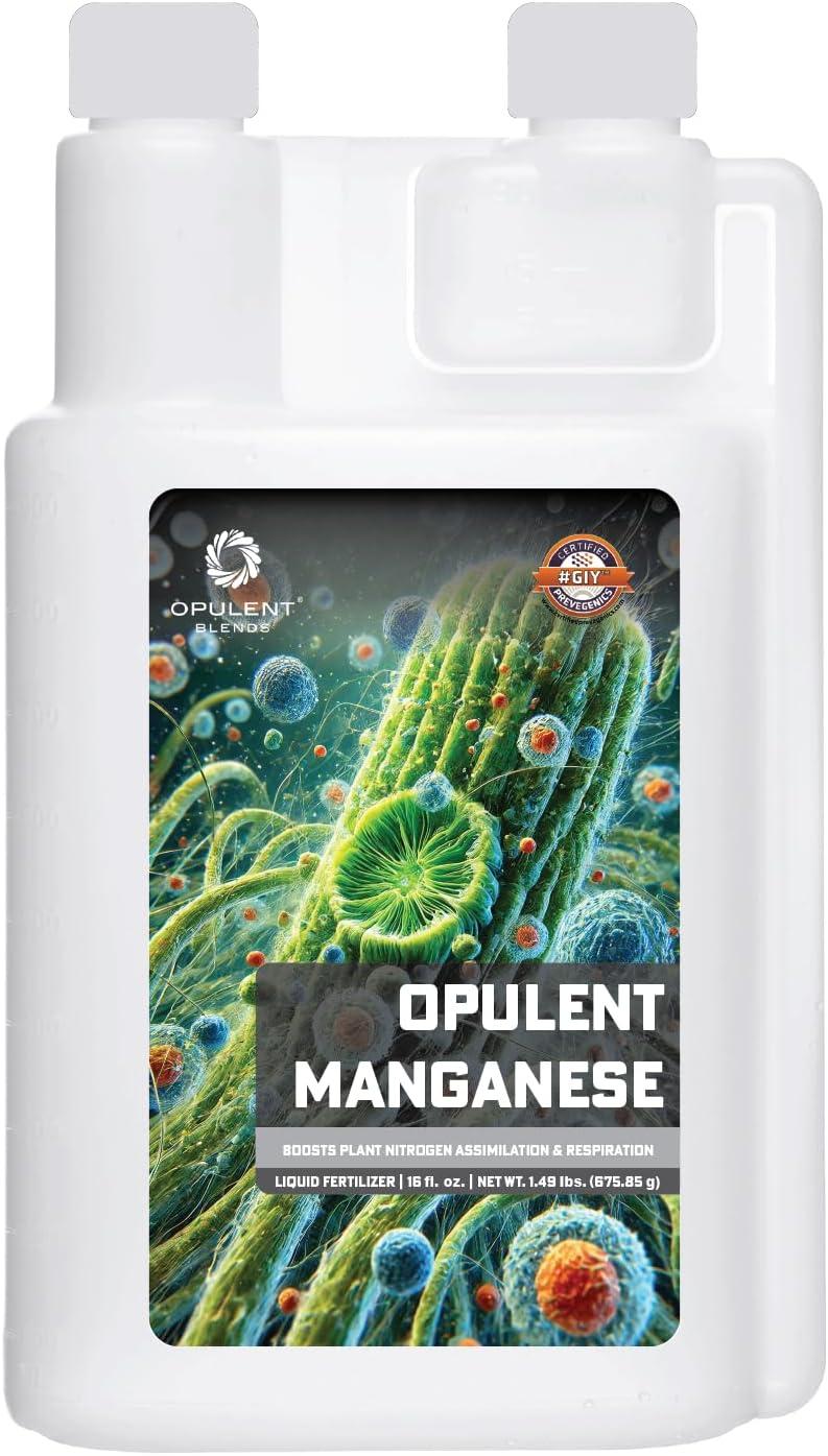 Chlorophyll Showdown: Splina vs. Opulent vs. Basic Immune Balancingtested