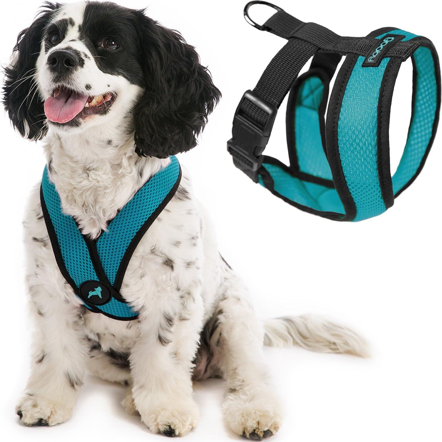 Comparing Tested Harnesses: Joyride Versus Patas Lague Showdown