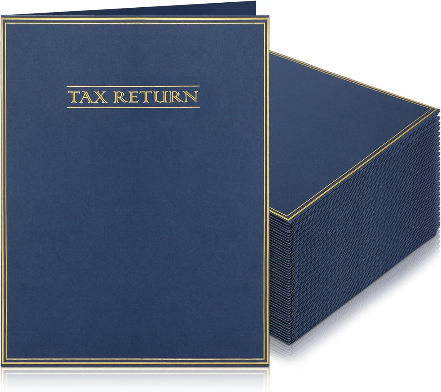 Whimsical Tax Folder Showdown: Tested Taxtidiness!