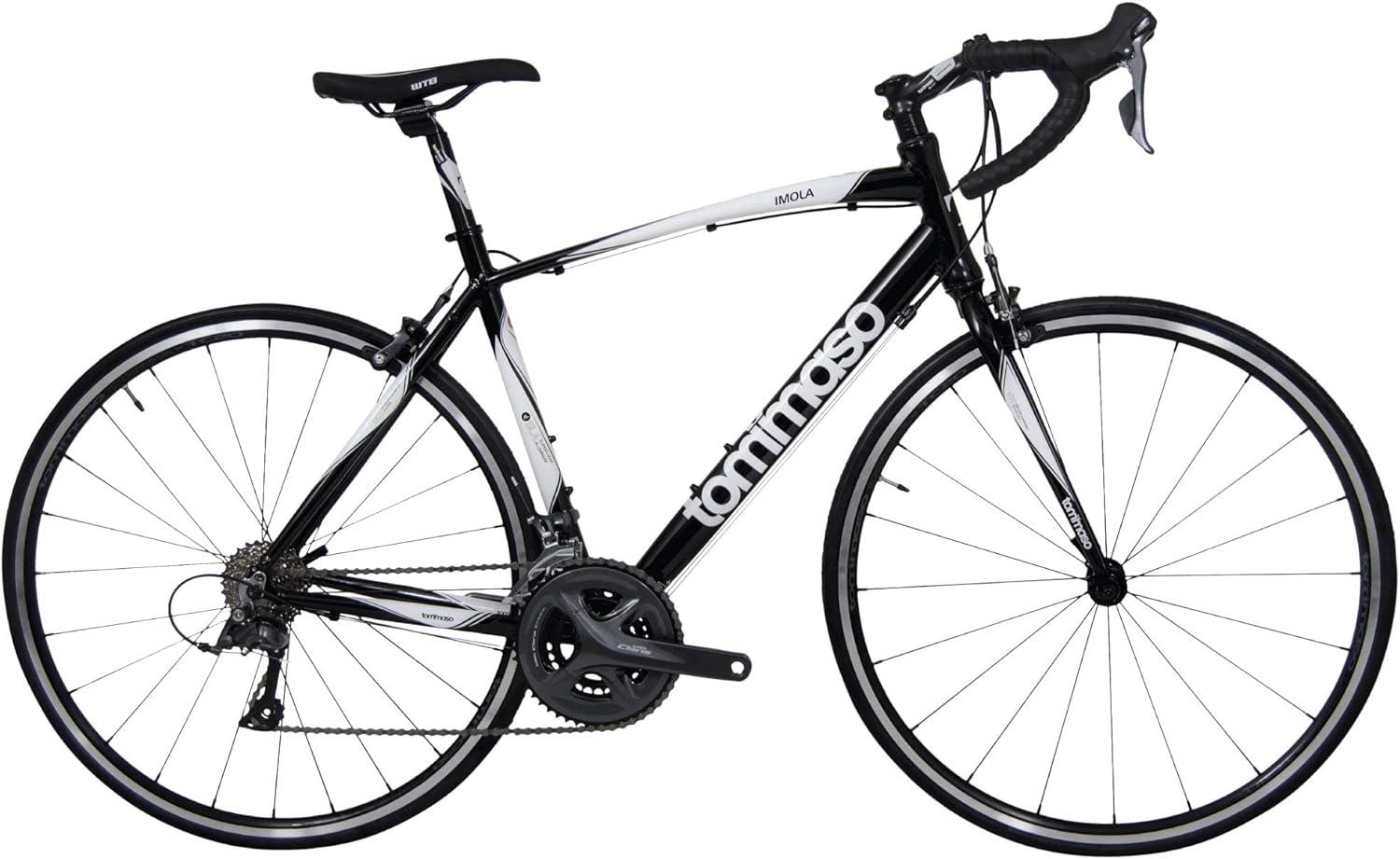 Surprising Road Bike Showdown: Tested Efficiency, Versus Style