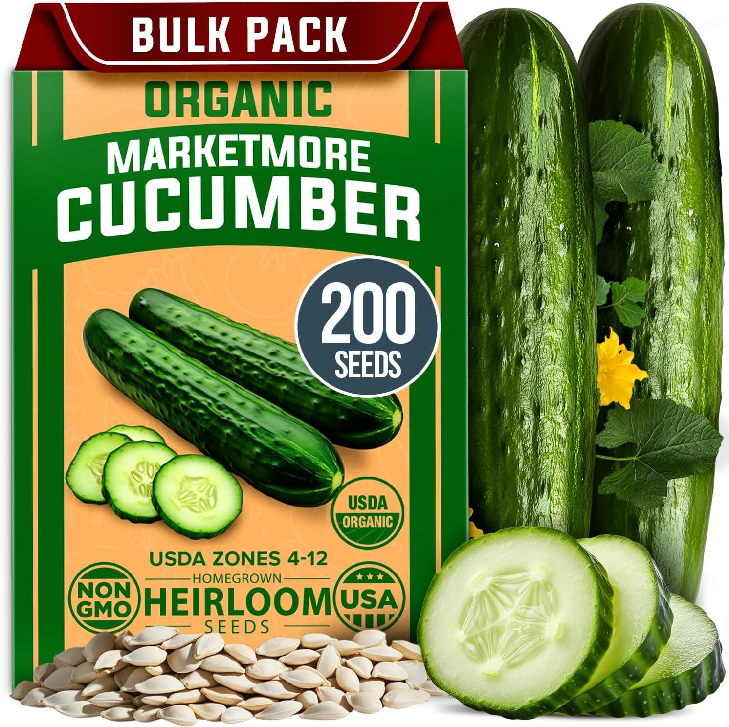 Beit Alpha Versus Marketmore: Tested Cucumber Showdown…Surprising Pick!