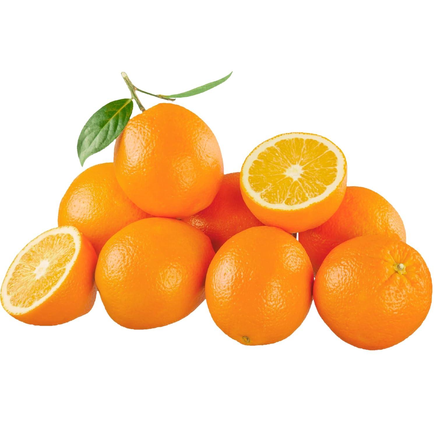 Citrus Surprise: Tested Versus Trendy Orange Box Gift Compare
