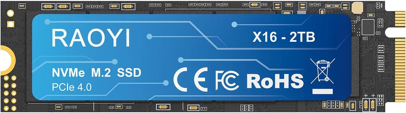 Surprising Insight: RAOYI 2TB SSD Unlocked—PS5 Gaming Speeds Tested!