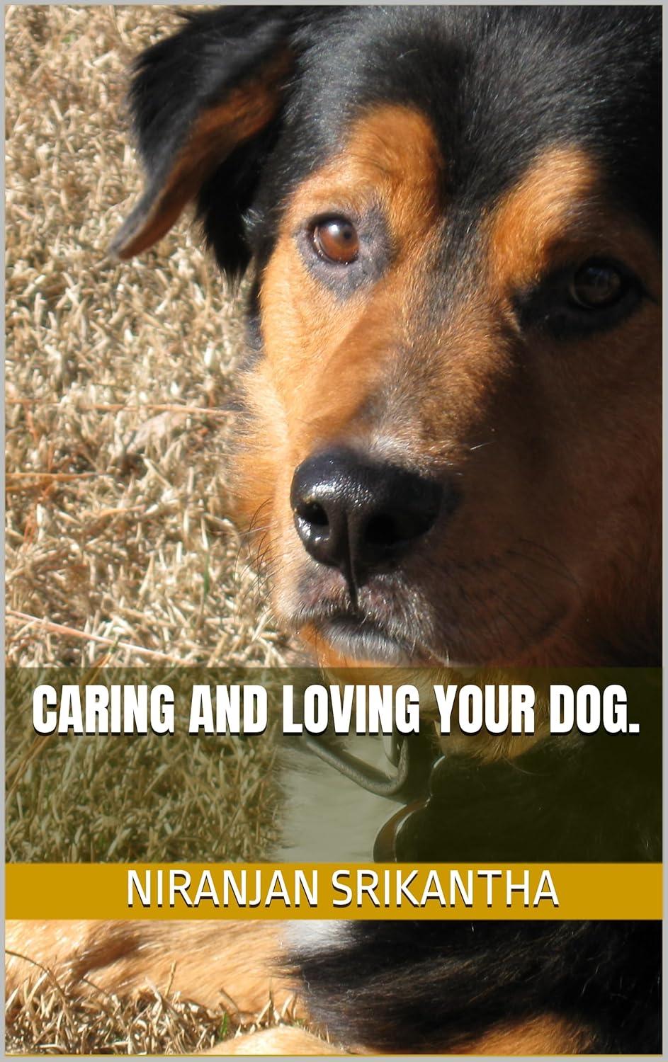 Caring For Dogs: Love Tested Versus Loving Them Right... Seasonal Tips!