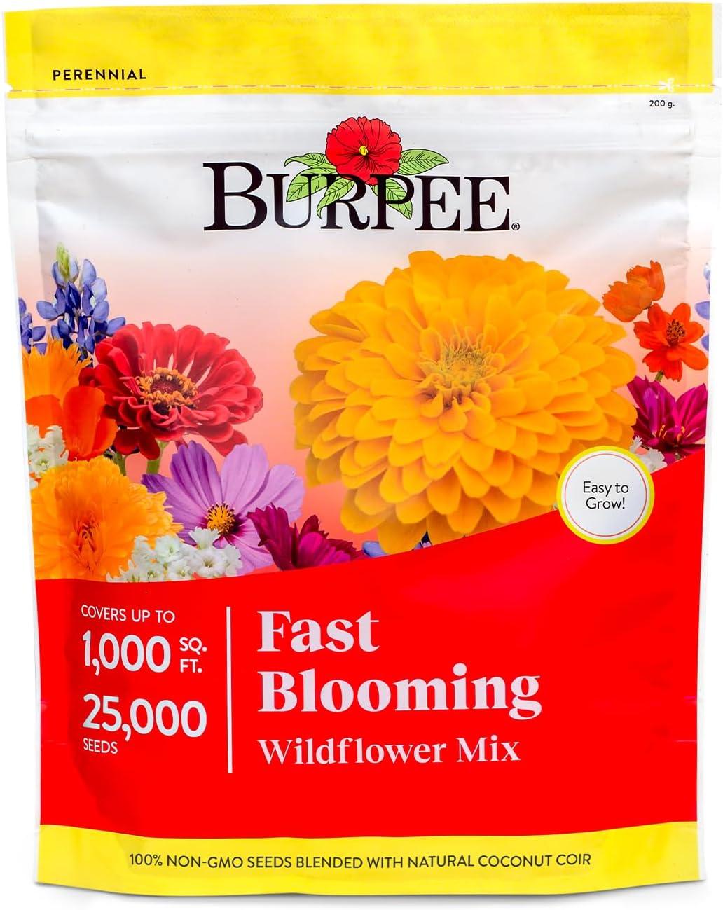 Fast-Blooming 25K Seeds Tested: Wildflower Mix vs. Home Gardening Fun!