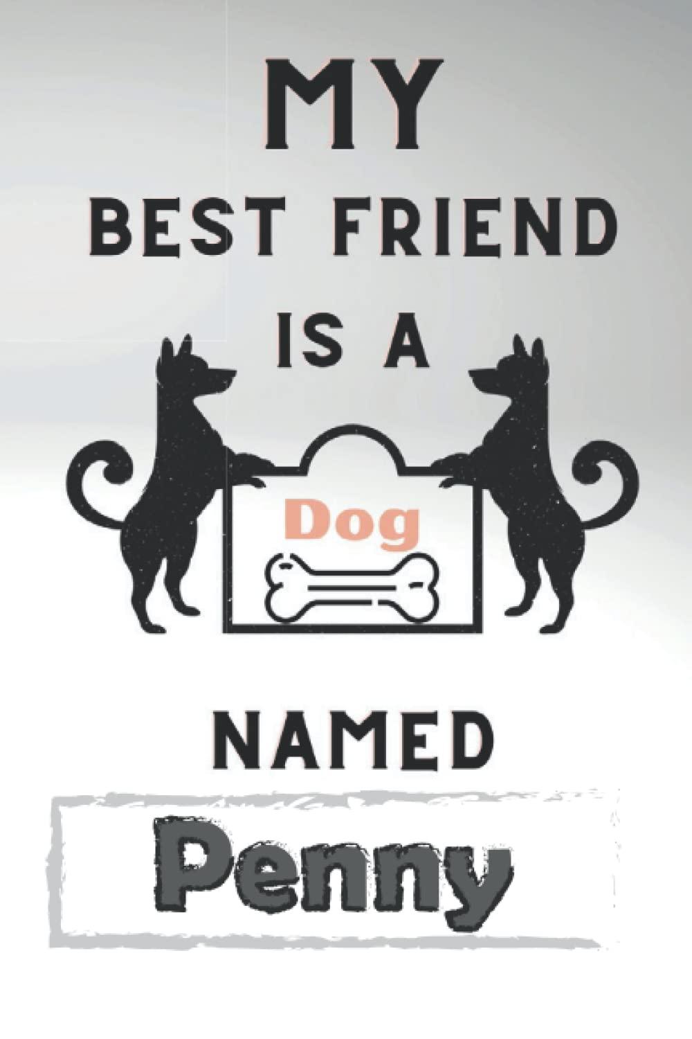 Surprising Pet Tag Showdown:durability vs. style