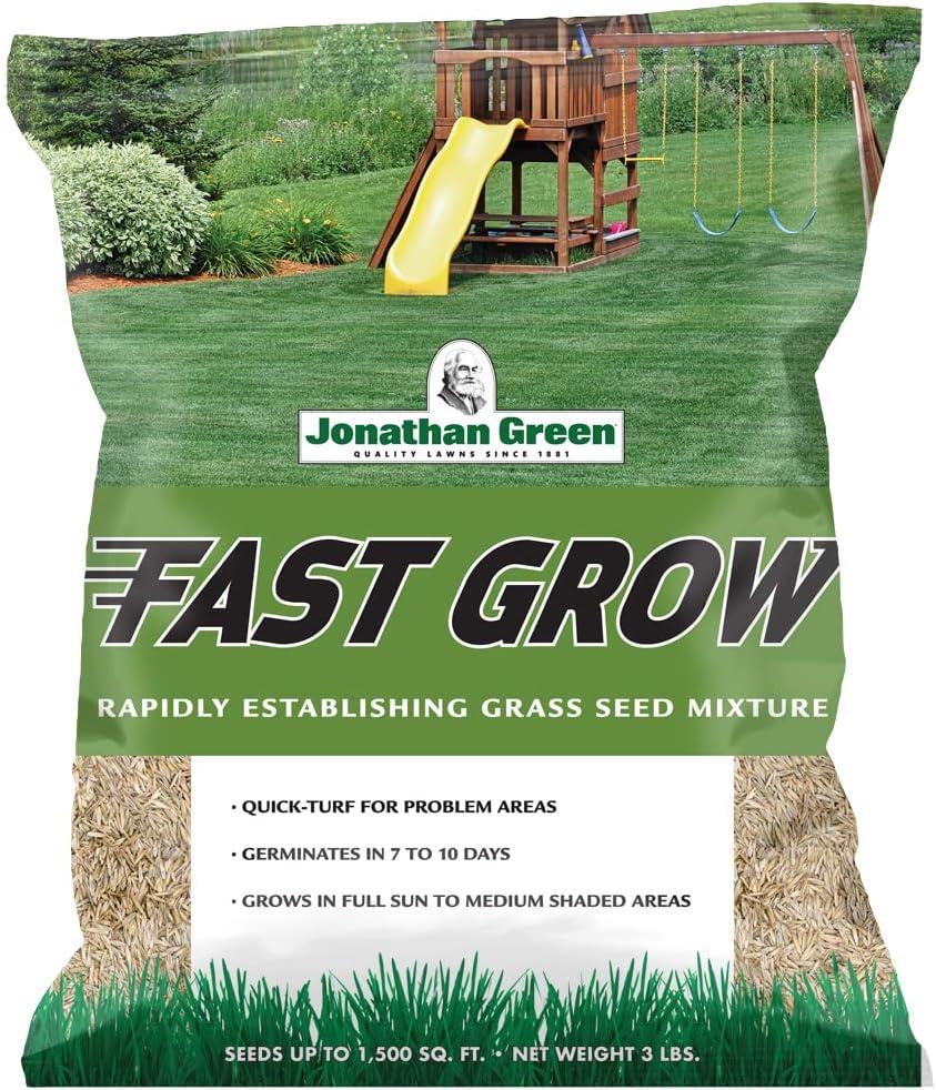 Surprising Lawn Showdown: Tested Grass Seed Wins!