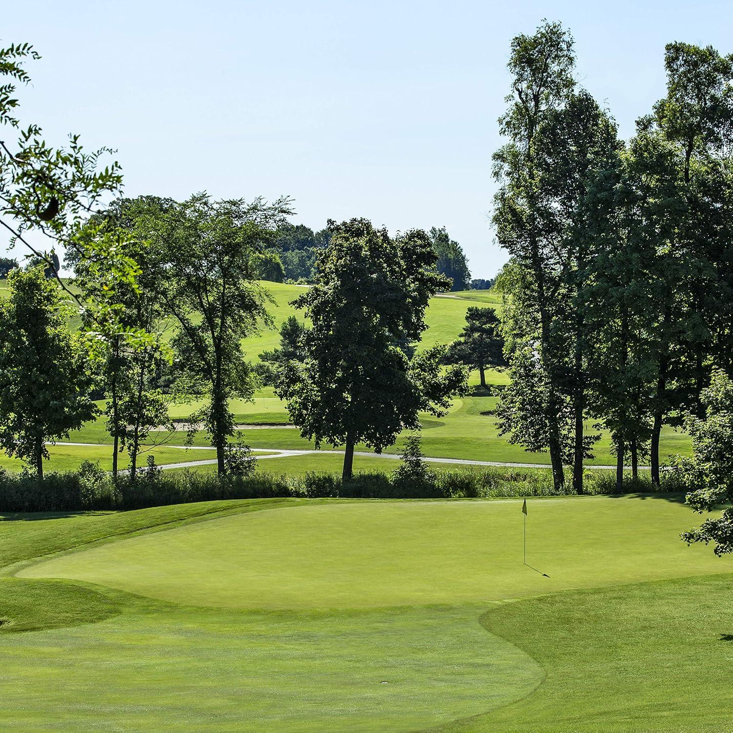 Comparing Golf Seed: Dense vs. Wear-Resistant… High Traffic Test Winner!
