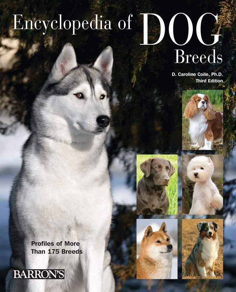 Best puppy choice: Encyclopedia vs. breed specifics, tested care insights…find your furry match!