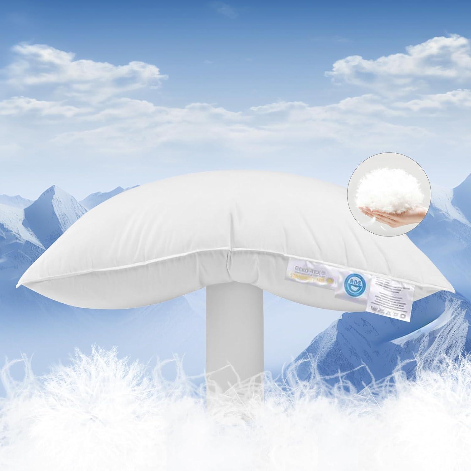 Surprising Insight: Queen Pillow Trial... High-Down Versus Hotel Comfort, Tested…