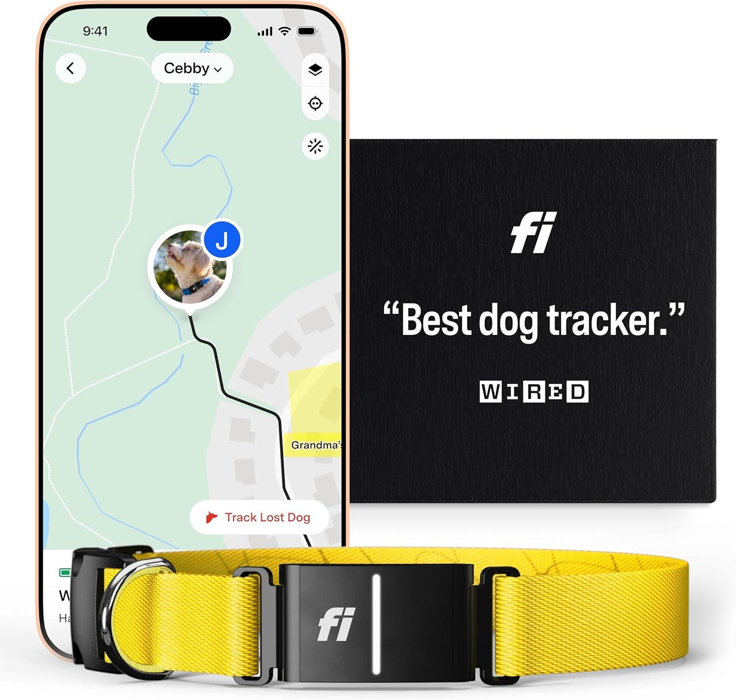 Surprising Fitness Ring Showdown: Tracks, Bonds... Tested Benefits