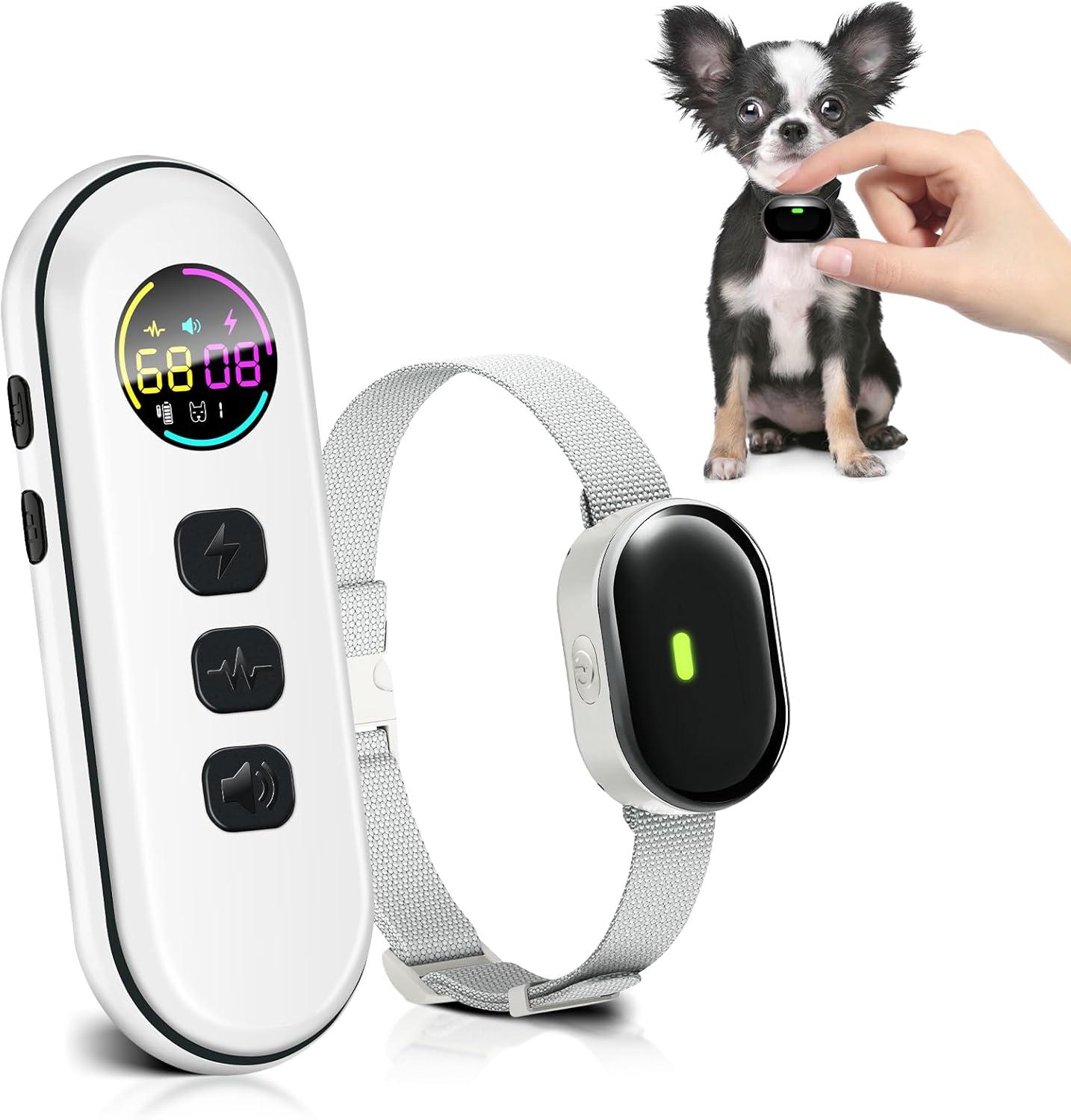 Versus Collars: Tested For All Dog Sizes