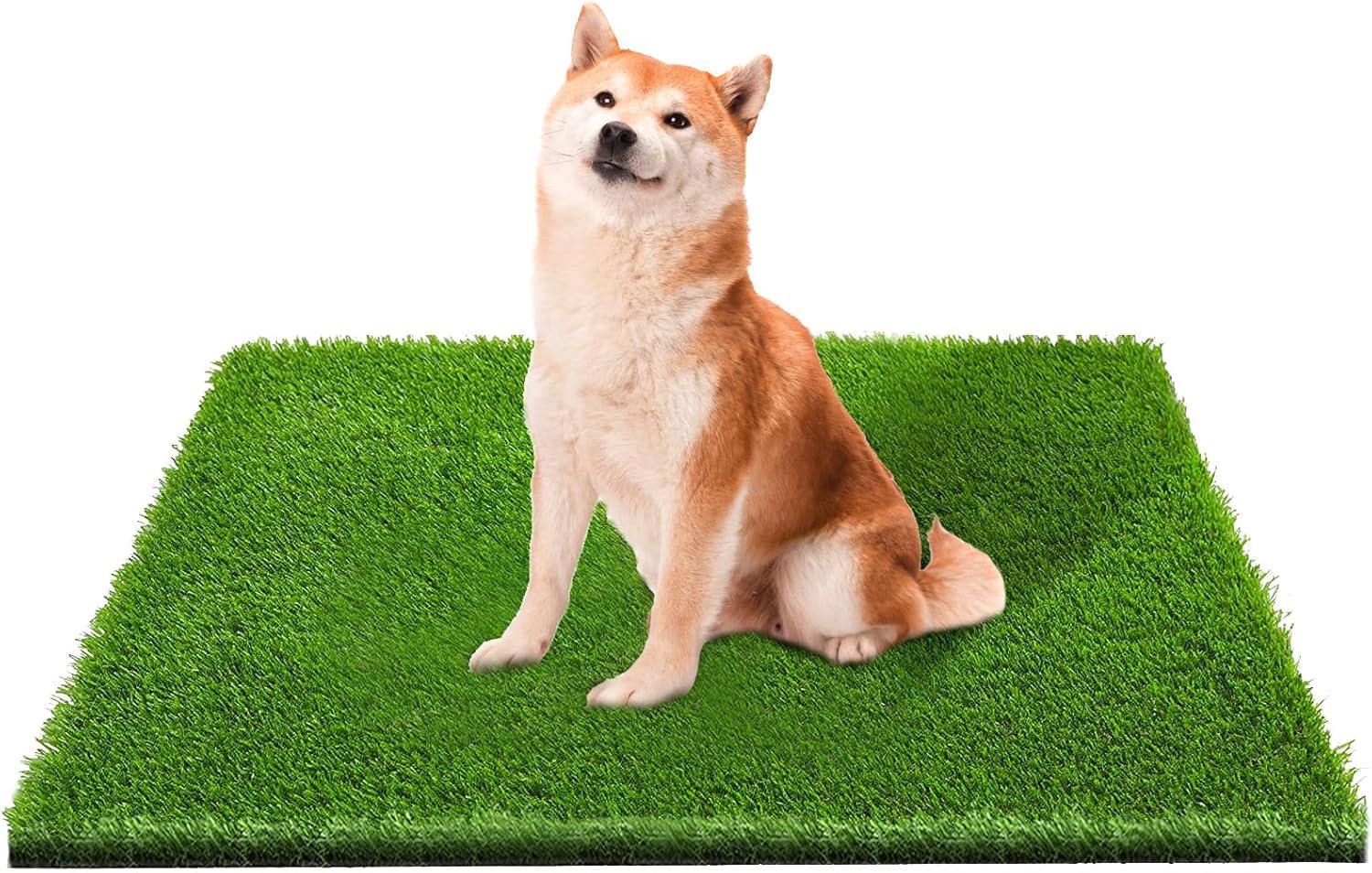 Artificial Grass: Surprising Ease In INSTALLATION!