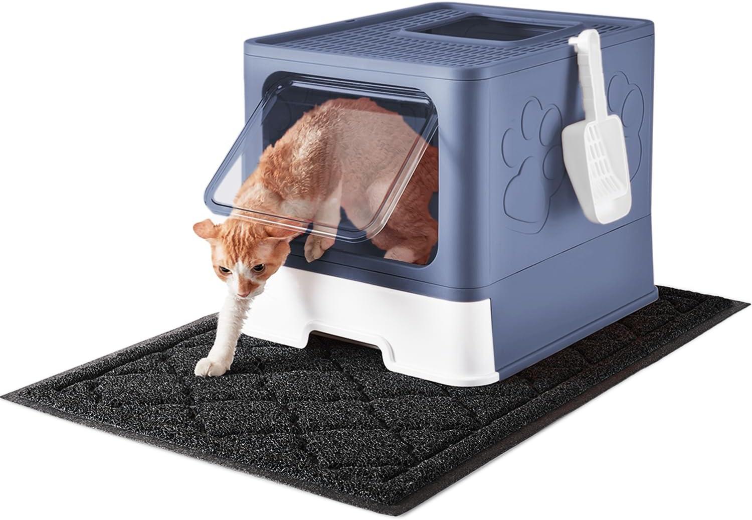 Surprising Litter Box Showdown: Freshness vs. Value... Test Results Reveal Winner!