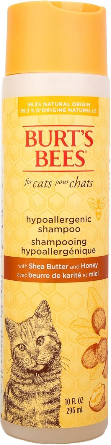 Shea Butter vs Honey Shampoo Tested: Gentle Cat Itch Relief Showdown…