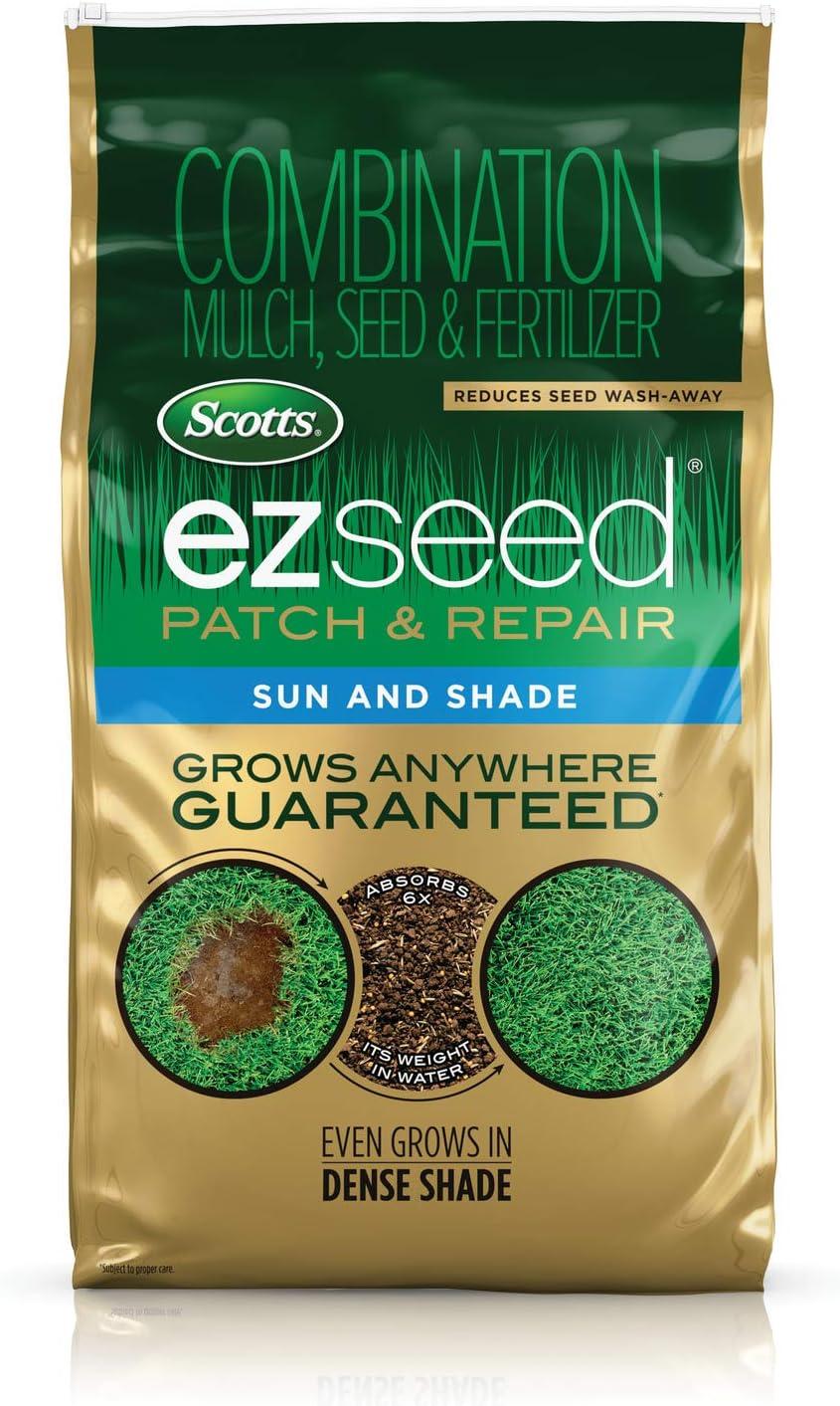 Comparing Grass Seed Showdown: Unbeatable Versus Seasonal Benefits
