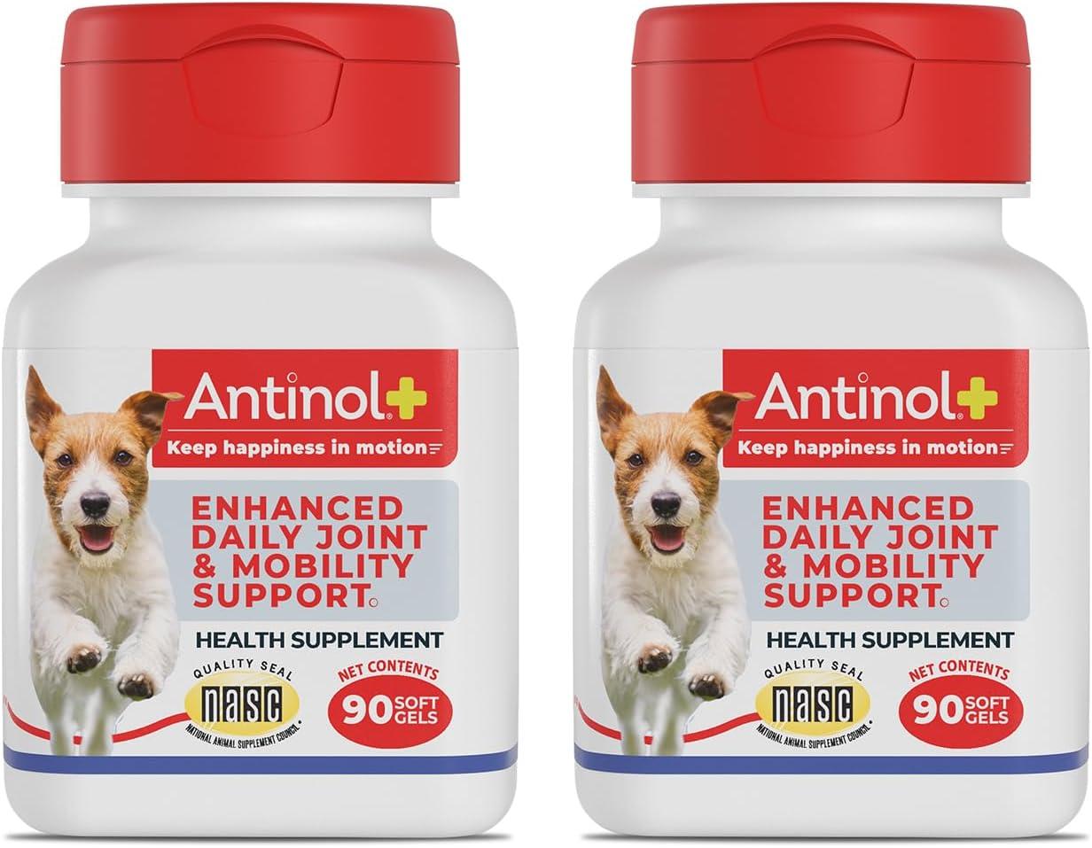 Antinol Plus vs. Glucosamine: Tested Joint Benefits for Dogs Over 45lbs