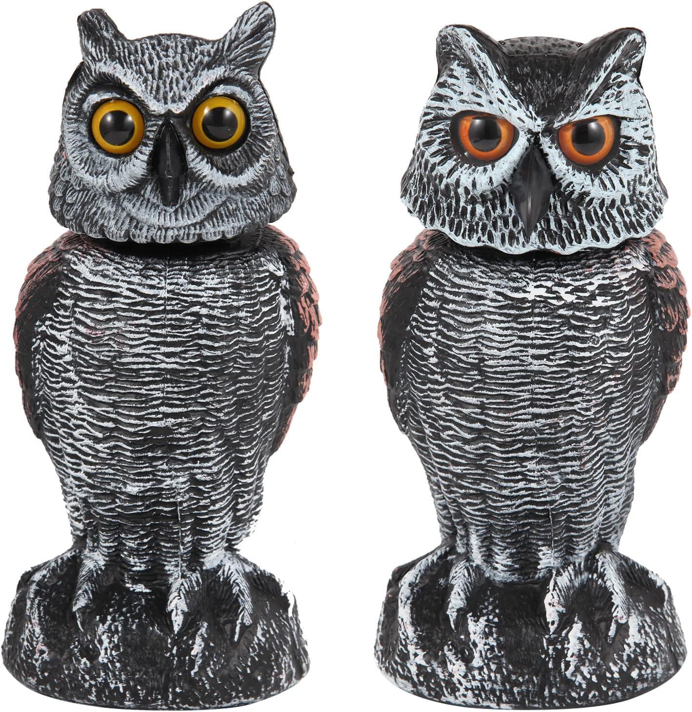 Hedoc Rotating Owl Heads vs. Plastic Scarecrow Statues: Autumn Garden Defense Tested