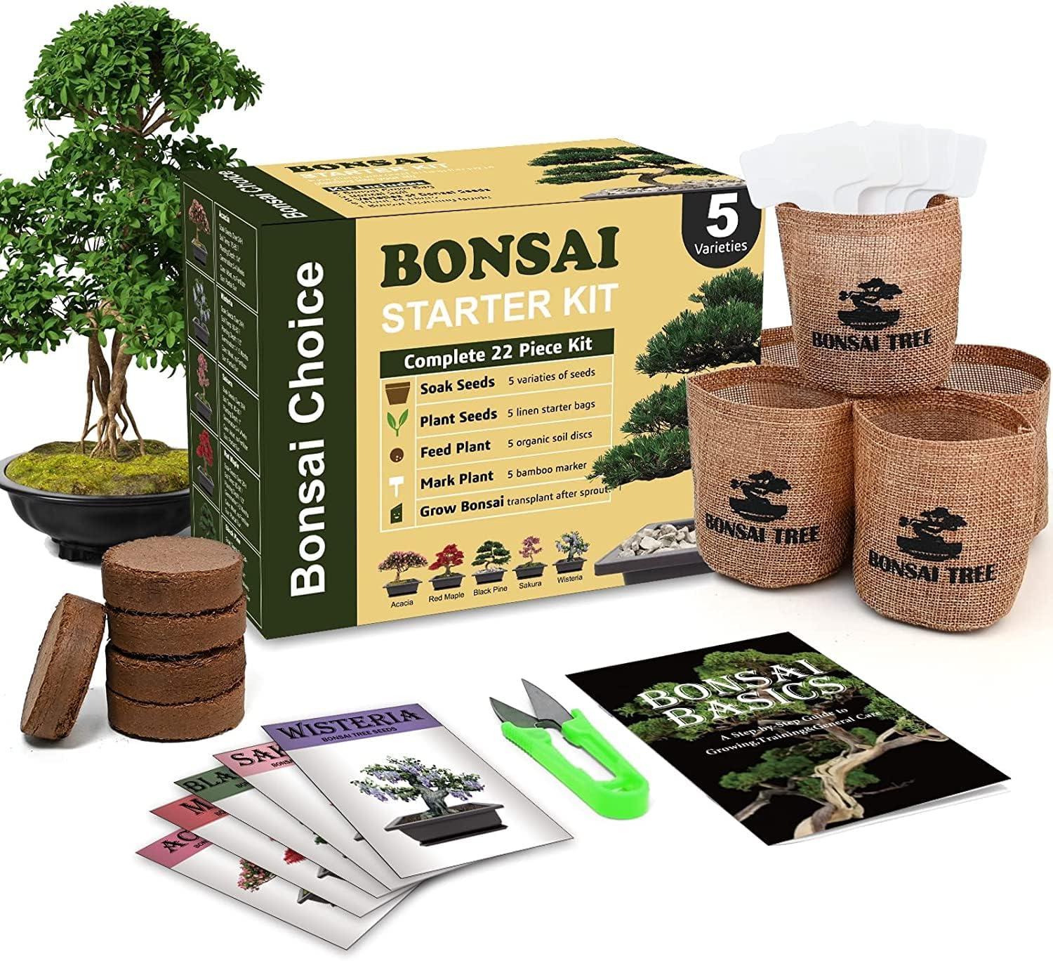 Surprising Reusability: Chia Pet Kits for 2-Week Growth