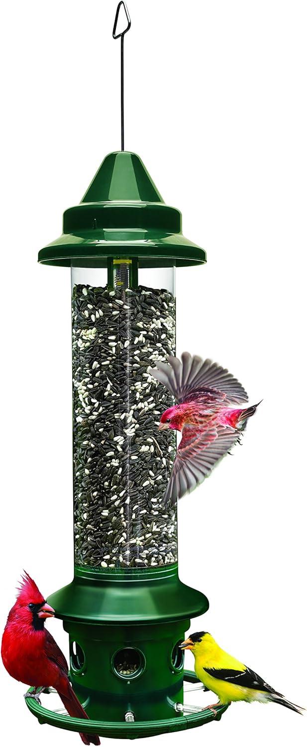 Smart Bird Feeder Showdown: Surprising Insight into Hummingbird Behavior